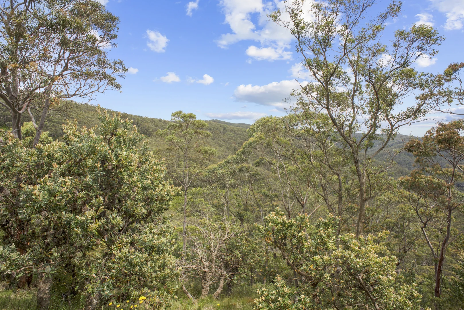 Additional image 20 of 42 Edward Parade, Wentworth Falls NSW 2782