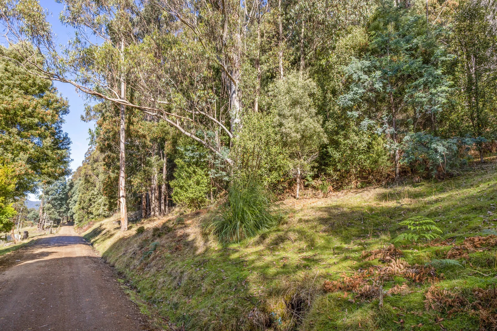 Additional image 5 of 1 Smiths Road, Nicholls Rivulet TAS 7112