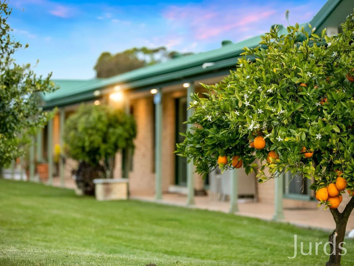 Additional image 25 of 307 Talga Road, Lovedale NSW 2325