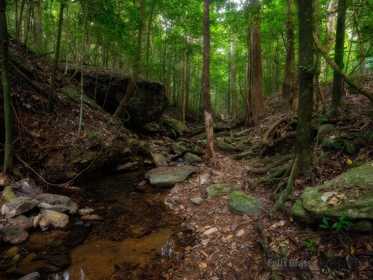 Additional image 16 of 31 Harvey Road, Redlynch QLD 4870