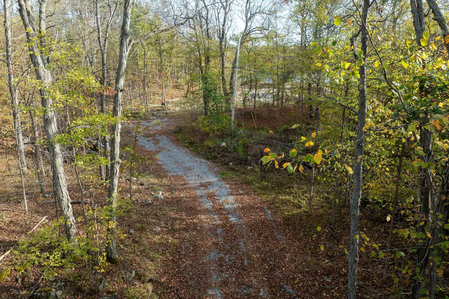 Additional image 11 of 485 Stafford Lane