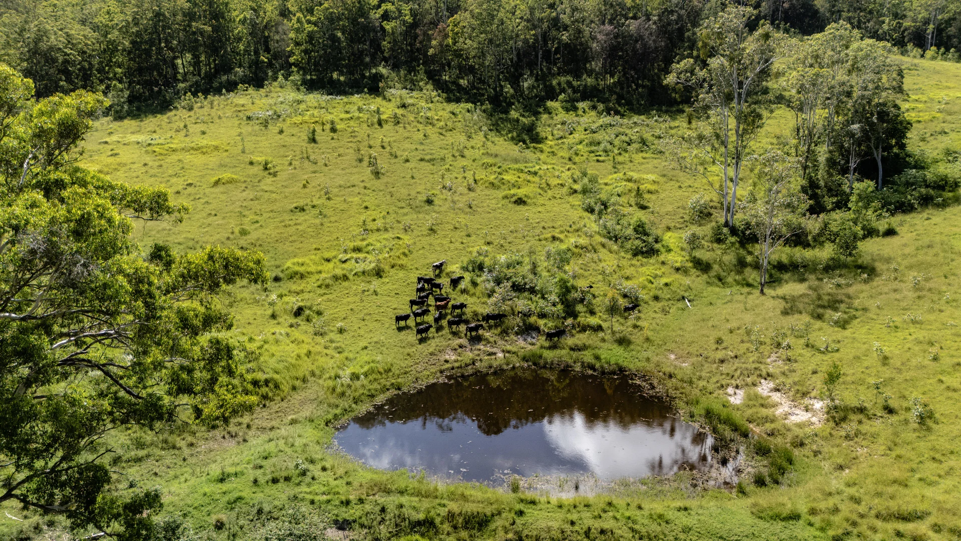Additional image 9 of 382 Norwood Lane, Mount George NSW 2424