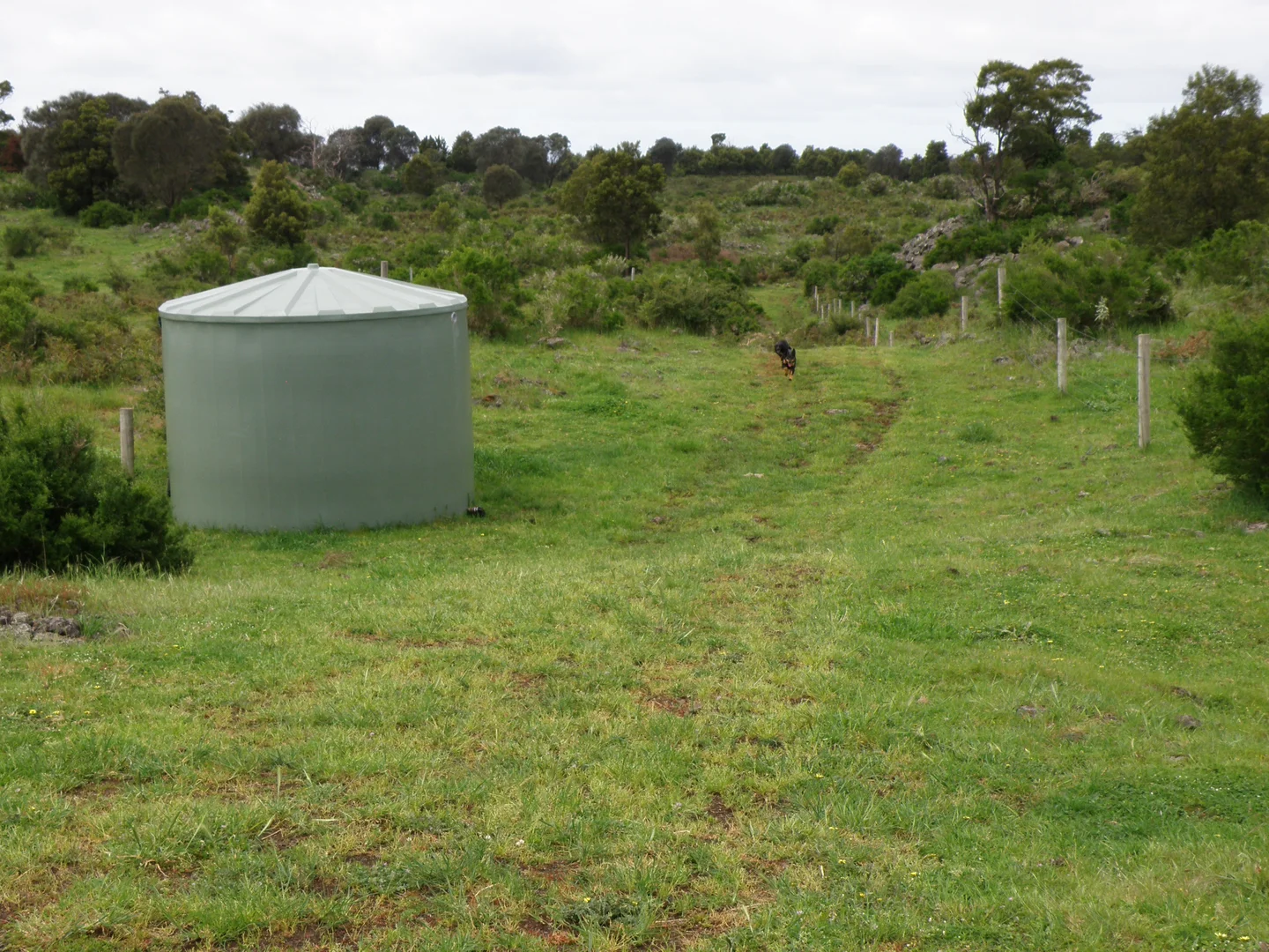 Additional image 12 of 289 Rands Road, Pomborneit North VIC 3260