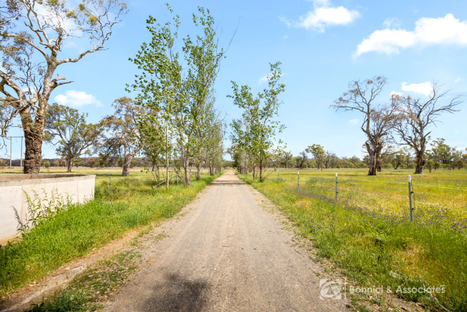 Additional image 19 of 202 Molkentin Road, Jindera NSW 2642