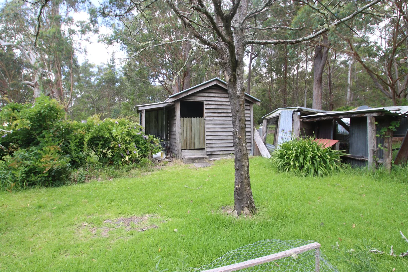 Additional image 20 of 2994 Mount Lindesay Road, Tenterfield NSW 2372