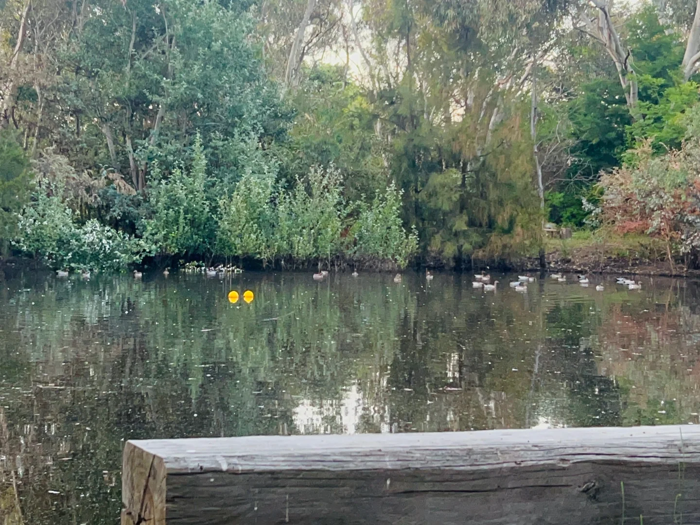 Additional image 20 of 12-18 Queen Street, Boorowa NSW 2586