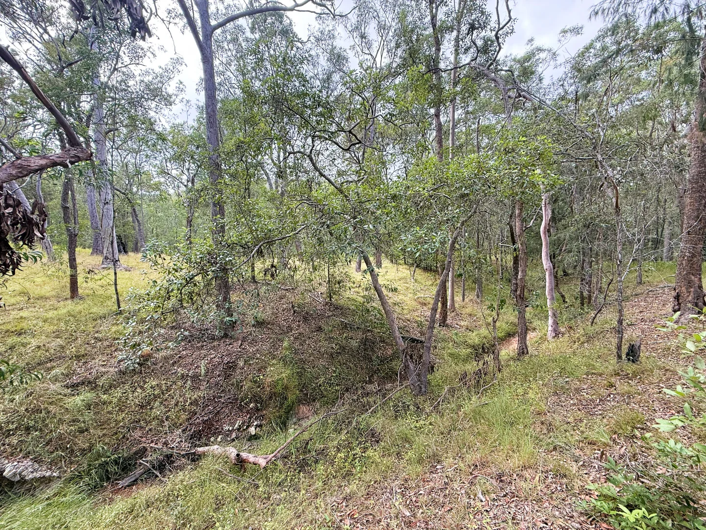 Additional image 13 of Lot 10/931 Nearum Road, Nearum QLD 4671