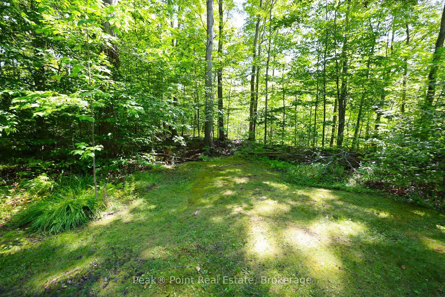 Additional image 9 of 46 Mapleport Crescent