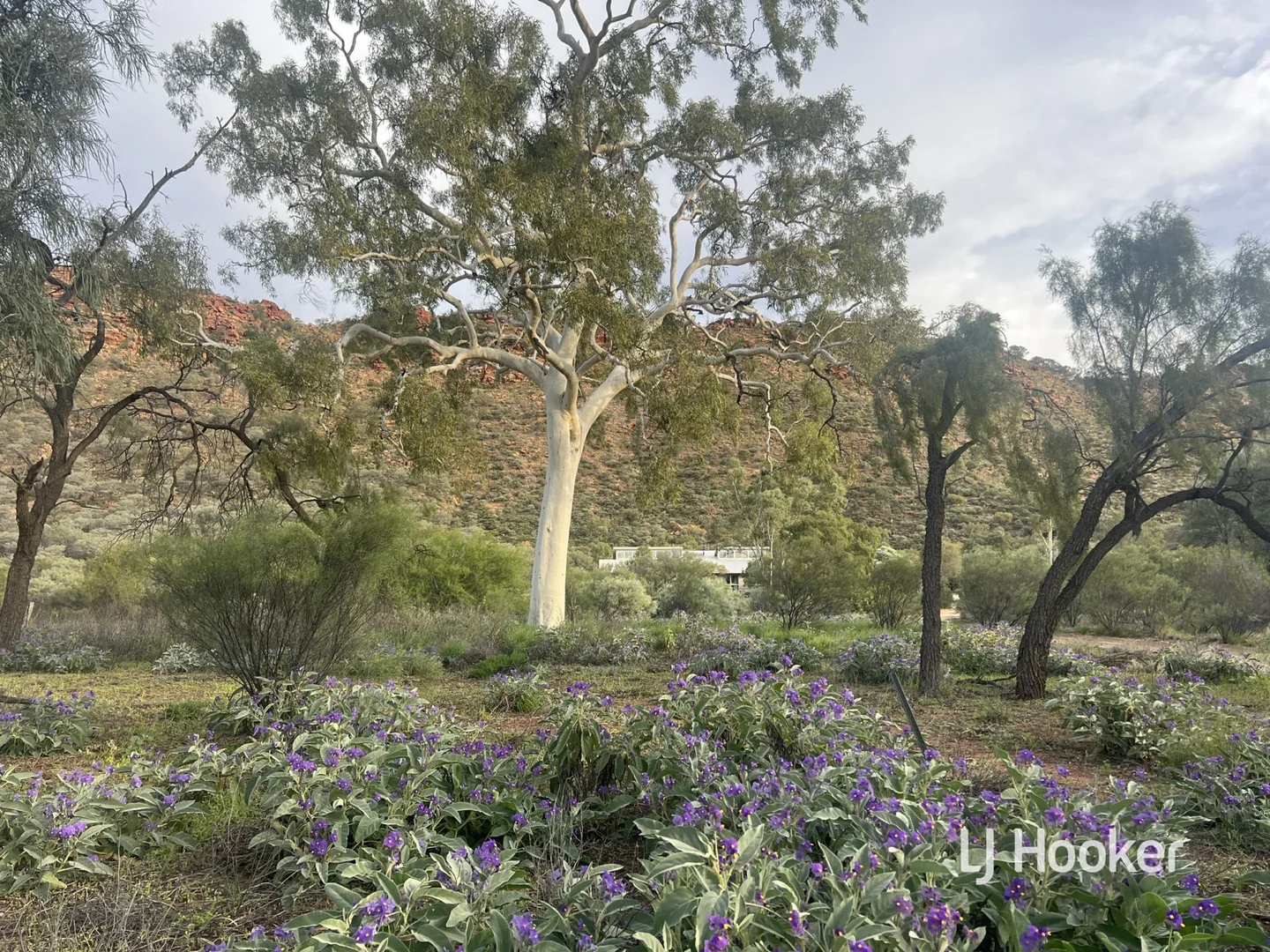 Additional image 23 of 989 Ilparpa Road, White Gums NT 0870