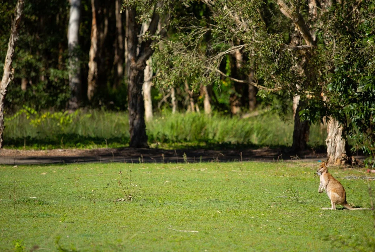 Additional image 9 of 61/9 Wallaby Way, South Stradbroke QLD 4216