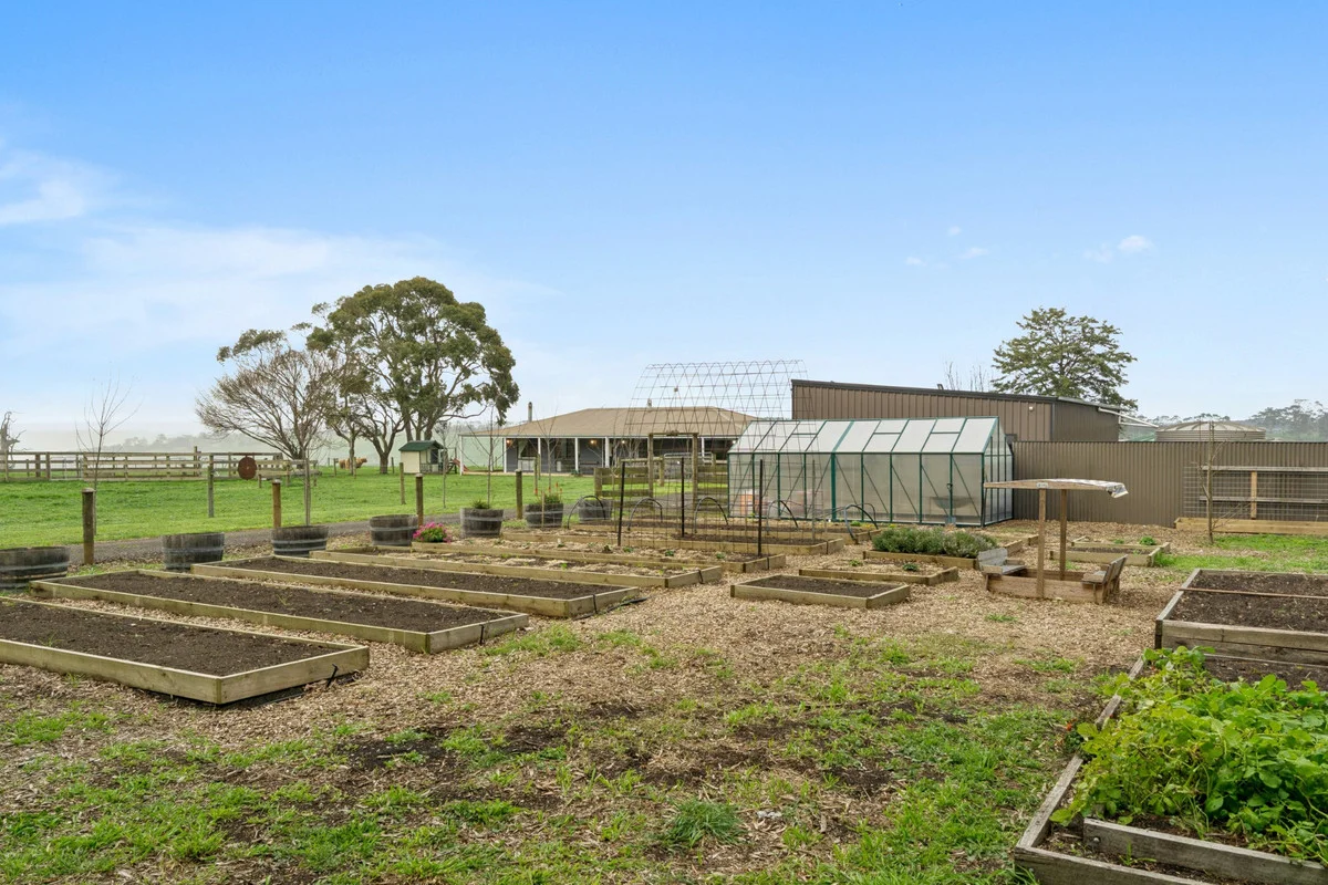 Additional image 21 of 725 Lavers Hill - Cobden Road, Jancourt East VIC 3266