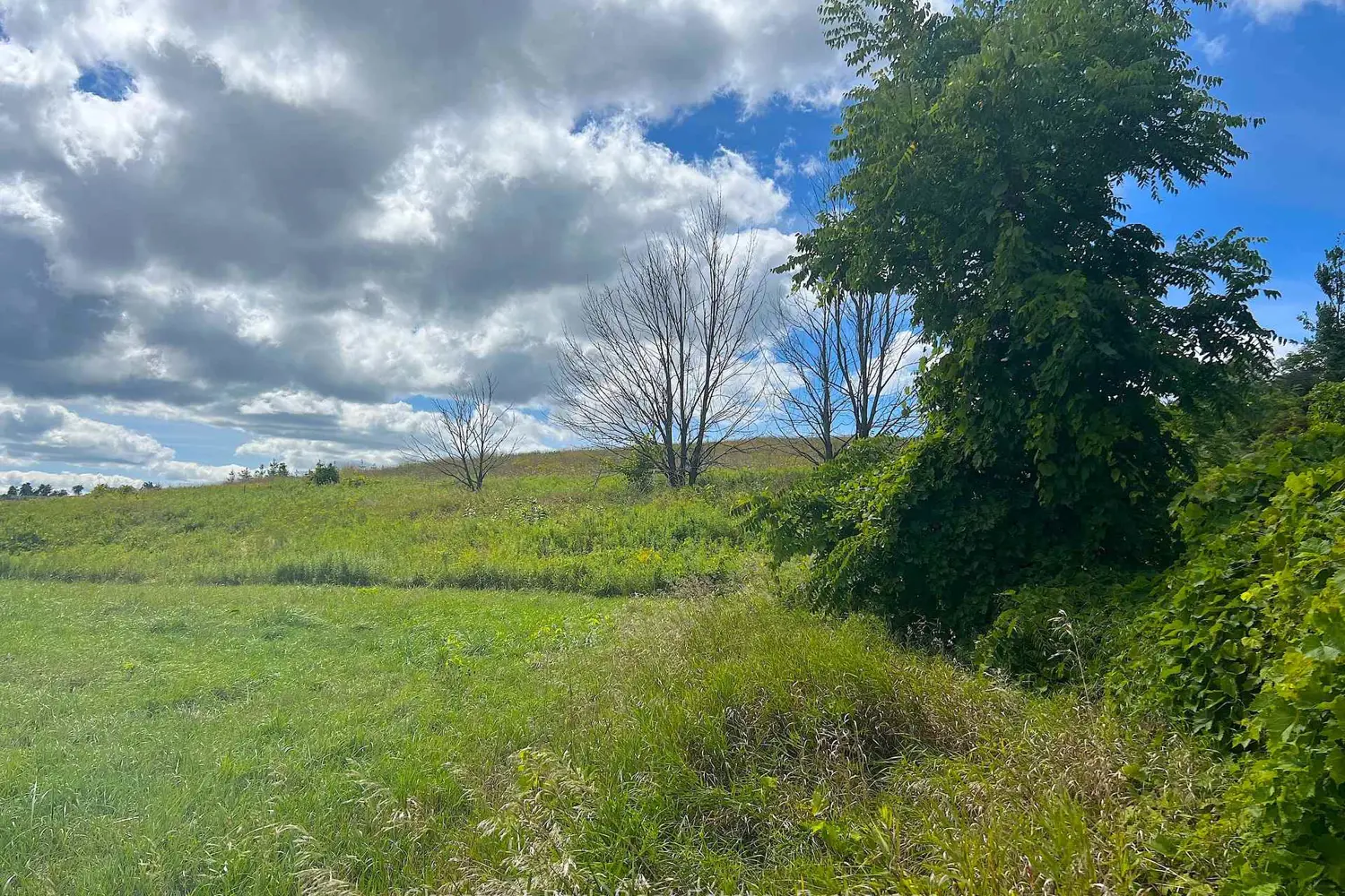 Additional image 15 of 628190 15Th Side Road