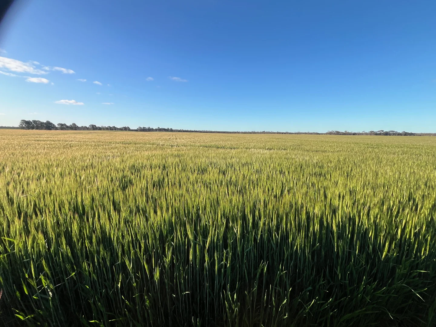 Additional image 25 of Midlands Road, Marchagee WA 6515