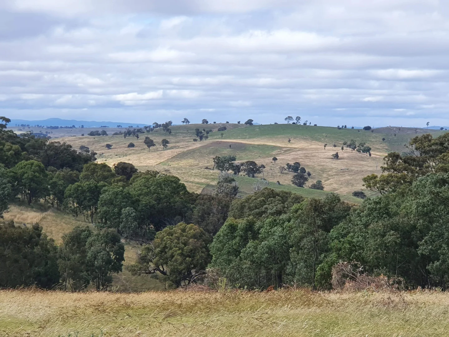 Additional image 6 of 2400 Sapphire Road, Wheeo NSW 2583