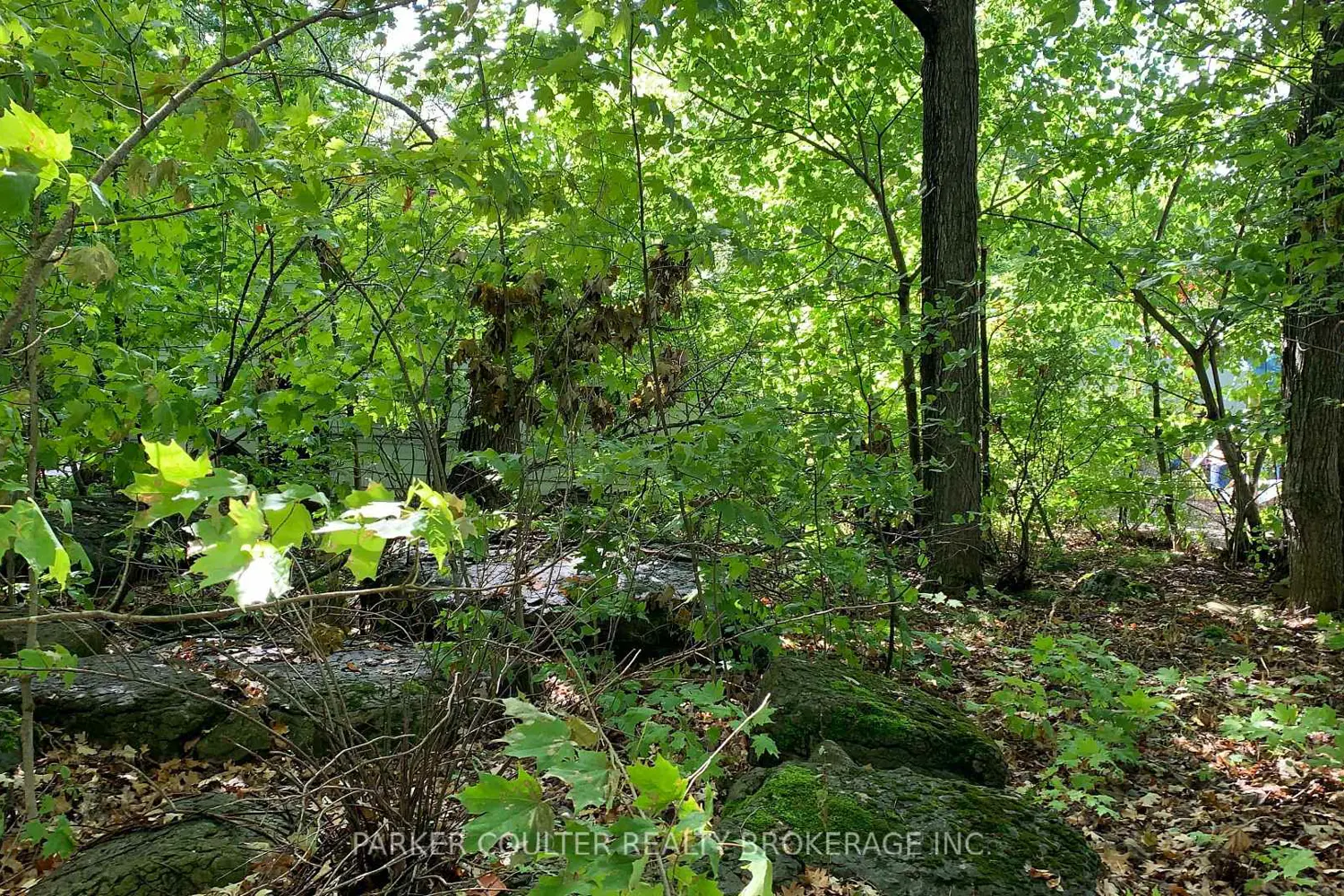 Additional image 9 of 6569 Rama Road