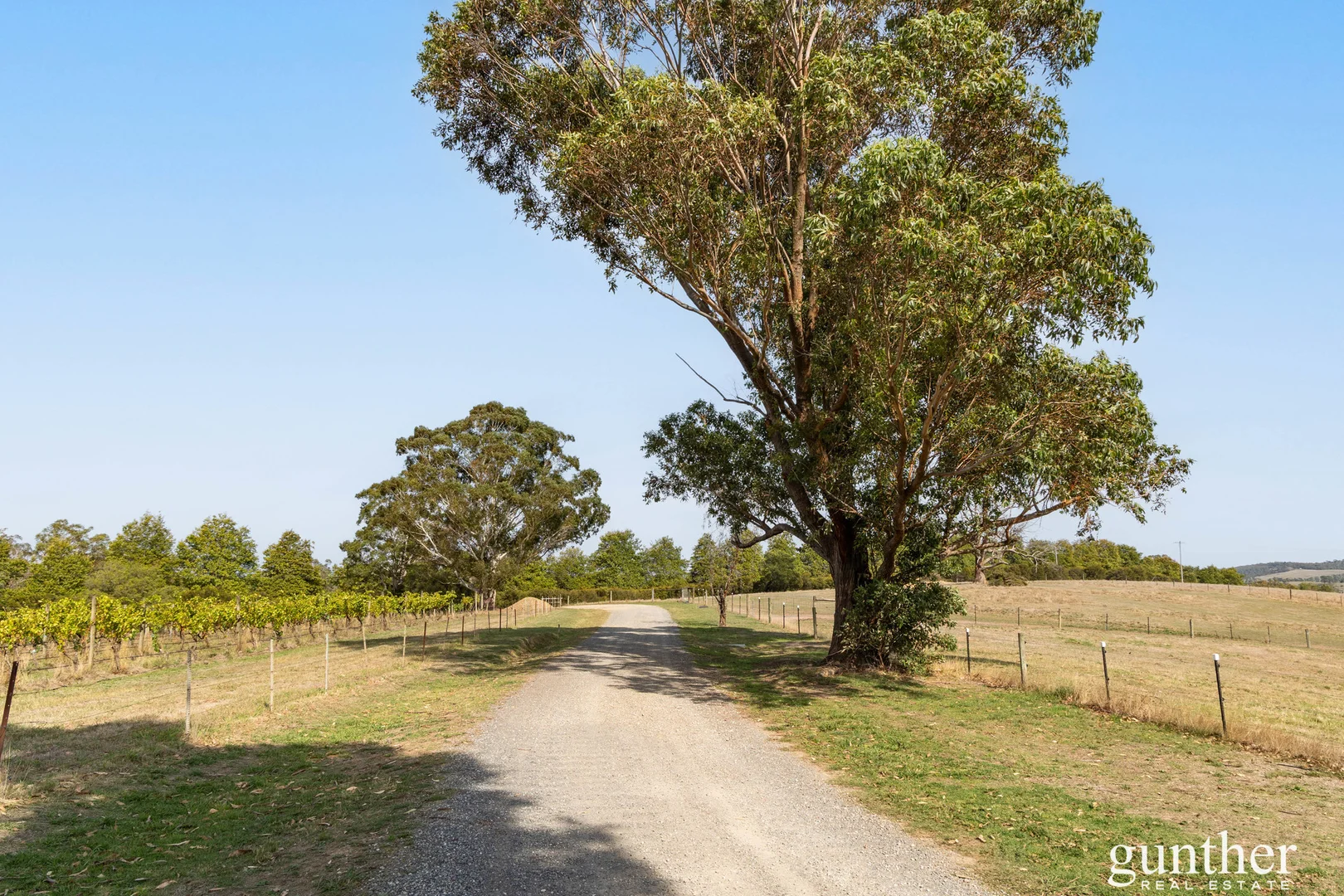 Additional image 3 of 770 Healesville Koo Wee Rup Road, Healesville VIC 3777