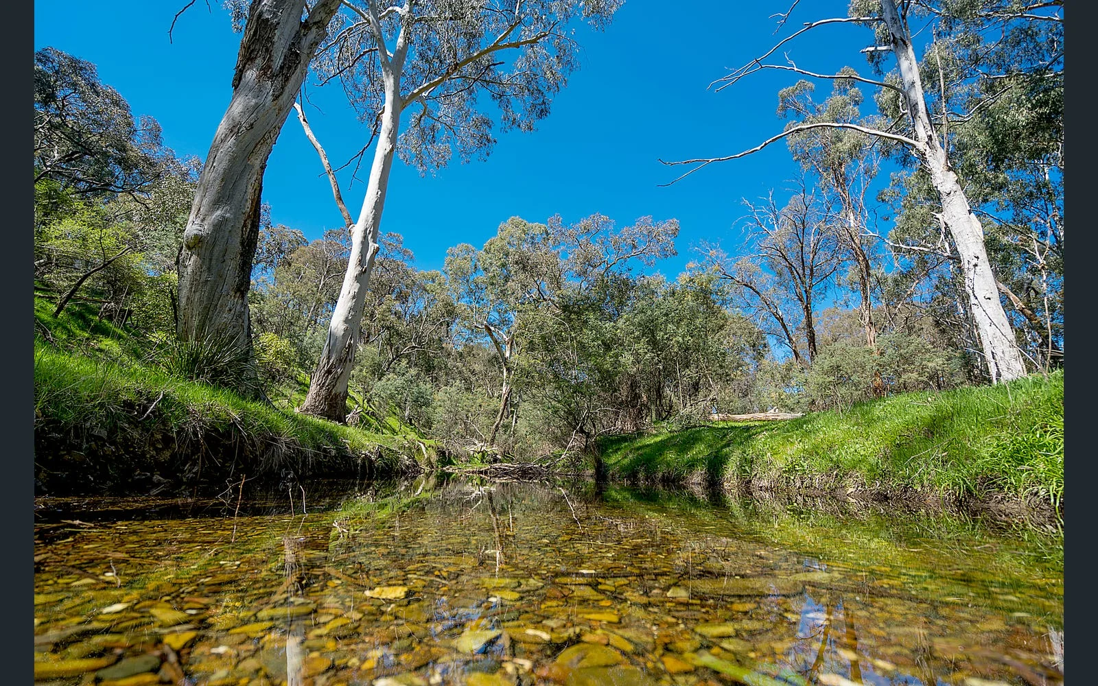 Additional image 10 of 21 Doyle Street, Reedy Creek VIC 3658