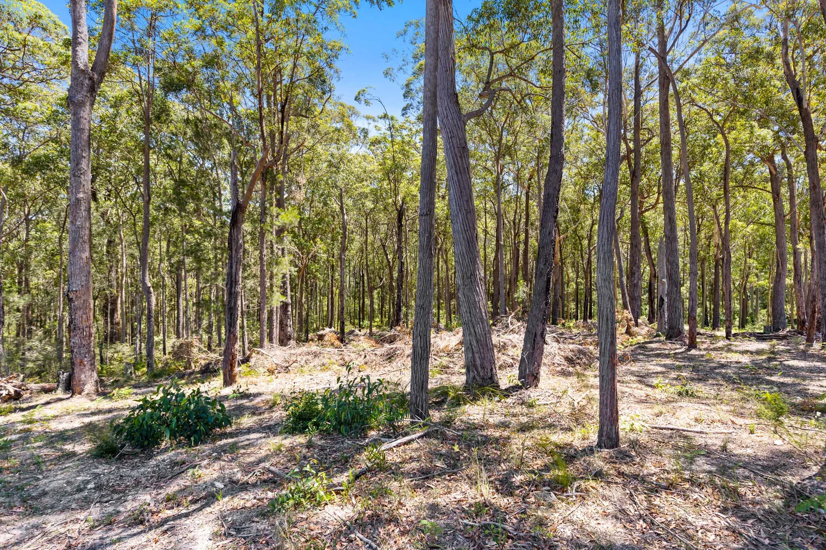 Additional image 5 of Long Beach NSW 2536