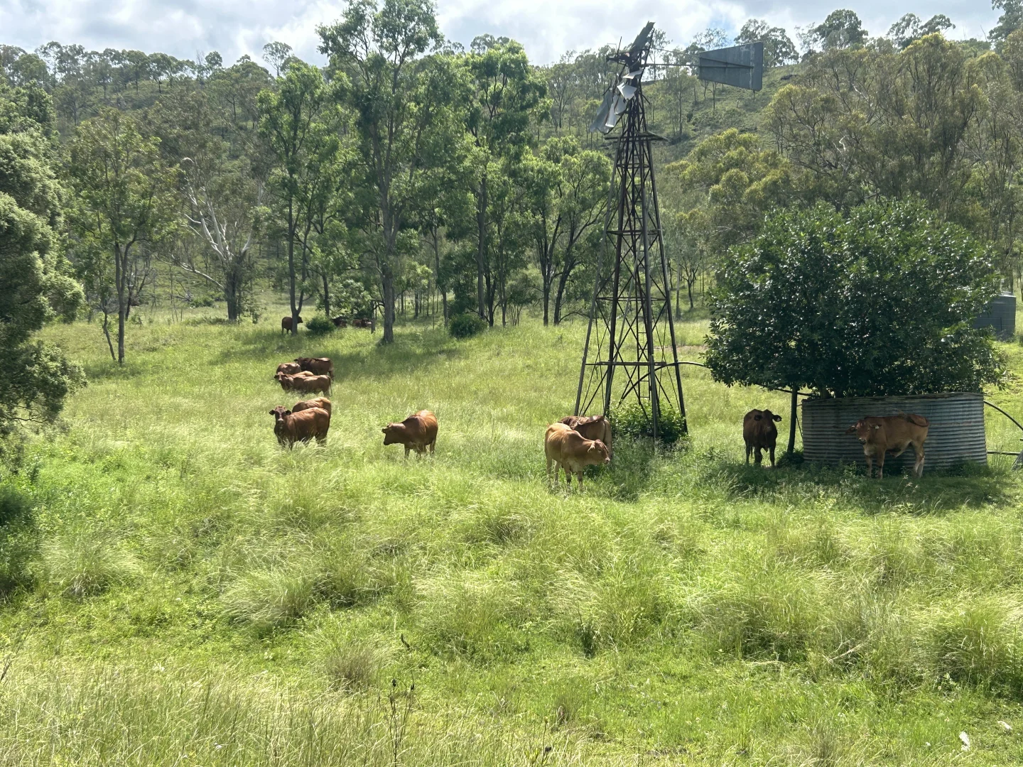 Additional image 9 of 789 Coppin Rd, Monto QLD 4630