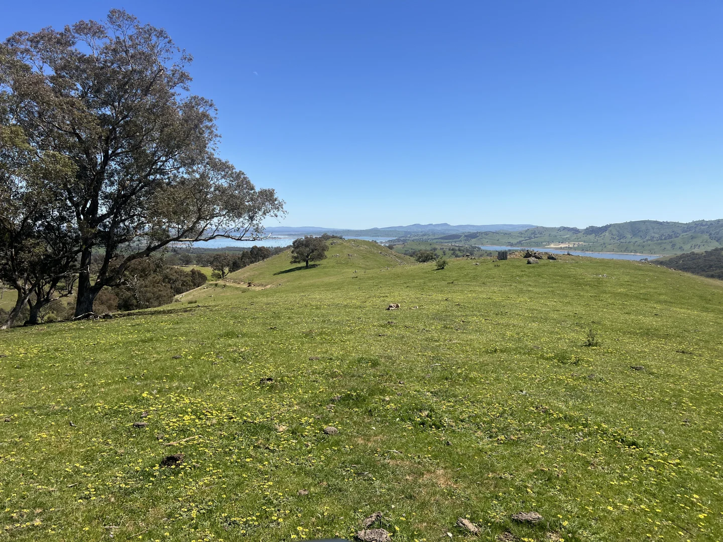 Additional image 5 of 557 Georges Creek Road, Talgarno VIC 3691