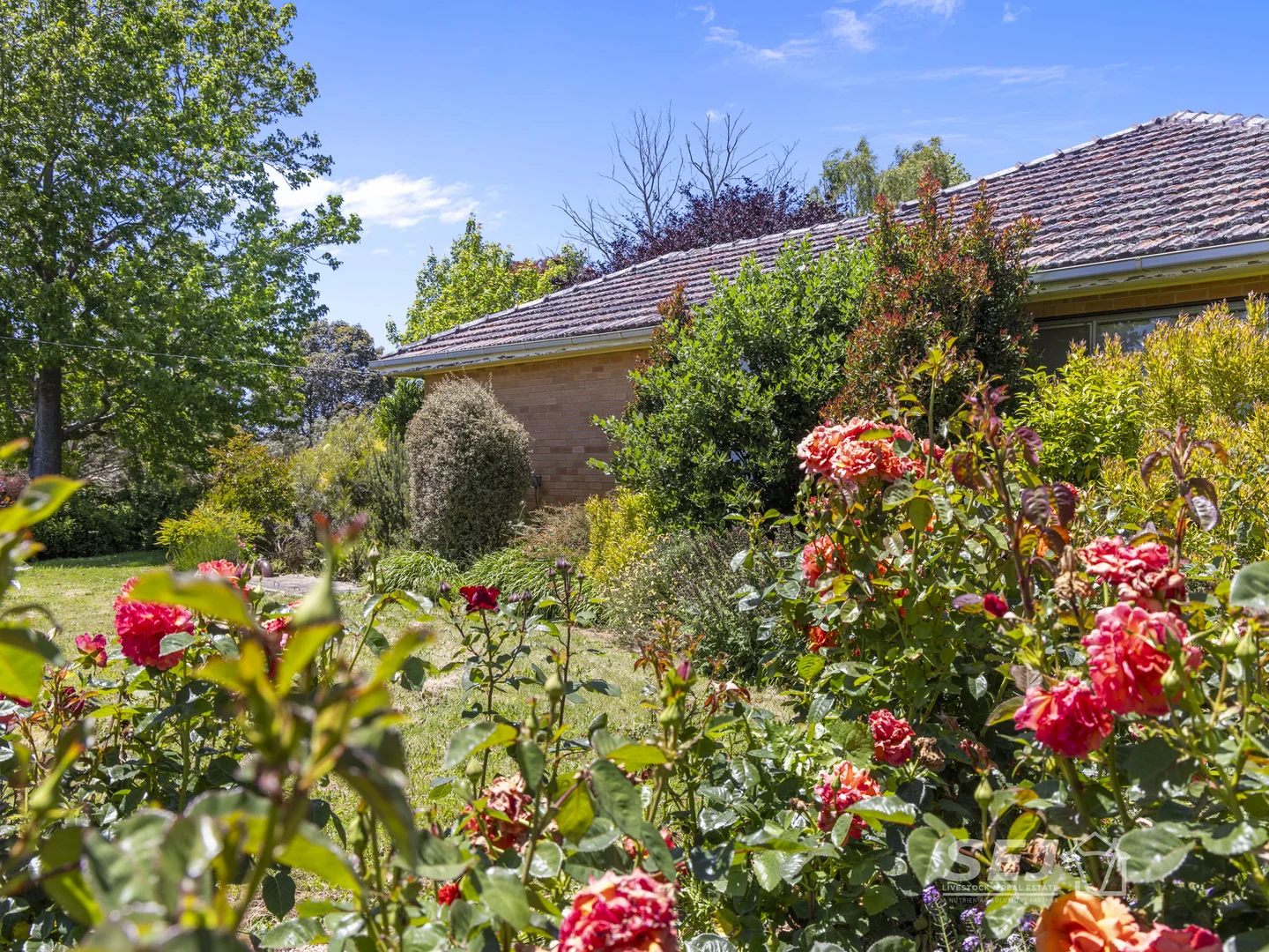 Additional image 7 of 155 Coulters Road, Mardan VIC 3953