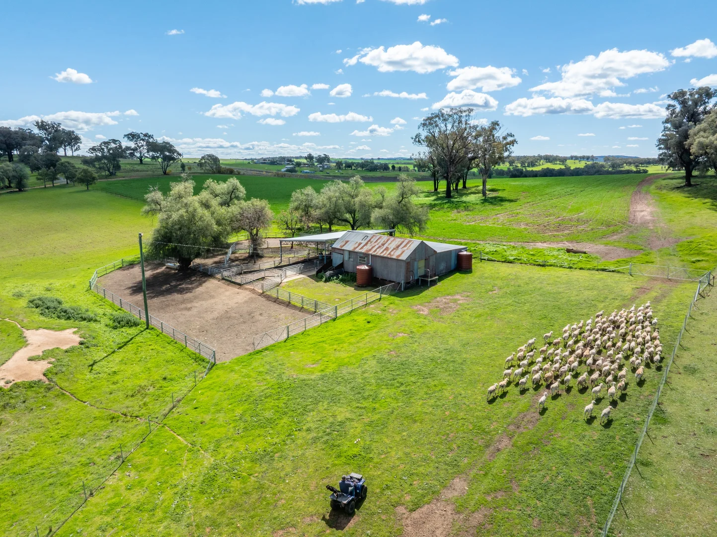 Additional image 28 of 100 Grahams Lane, Grenfell NSW 2810