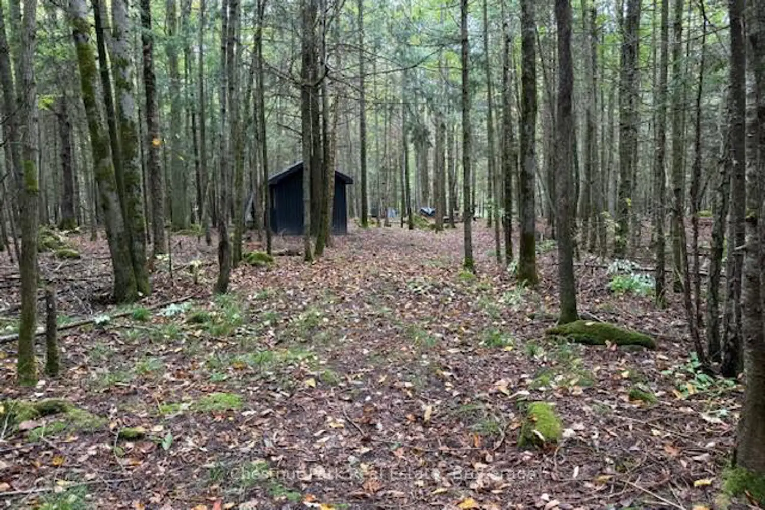 Additional image 4 of 596244 Concession 10