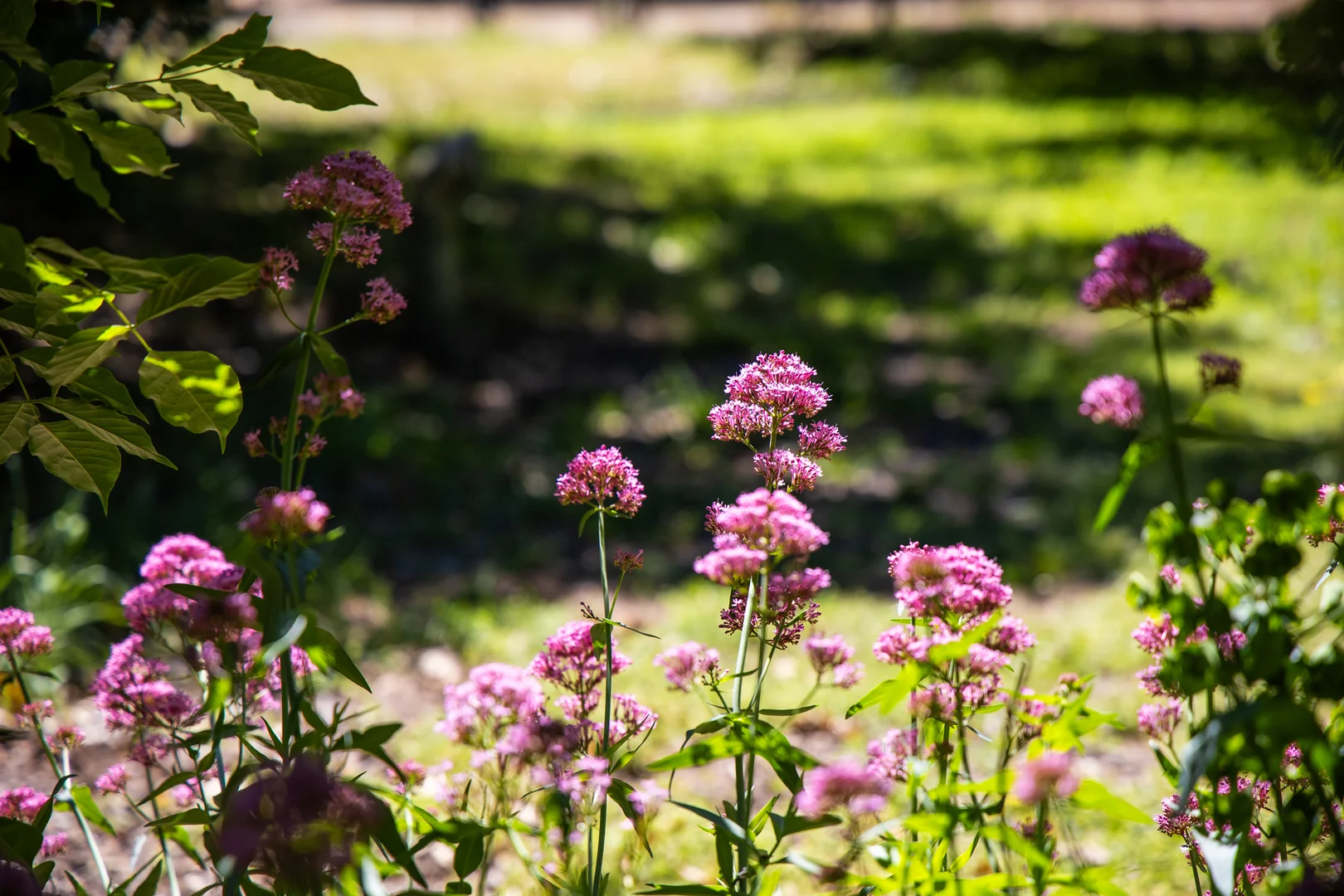 Additional image 35 of 2775 Barton Highway, Murrumbateman NSW 2582