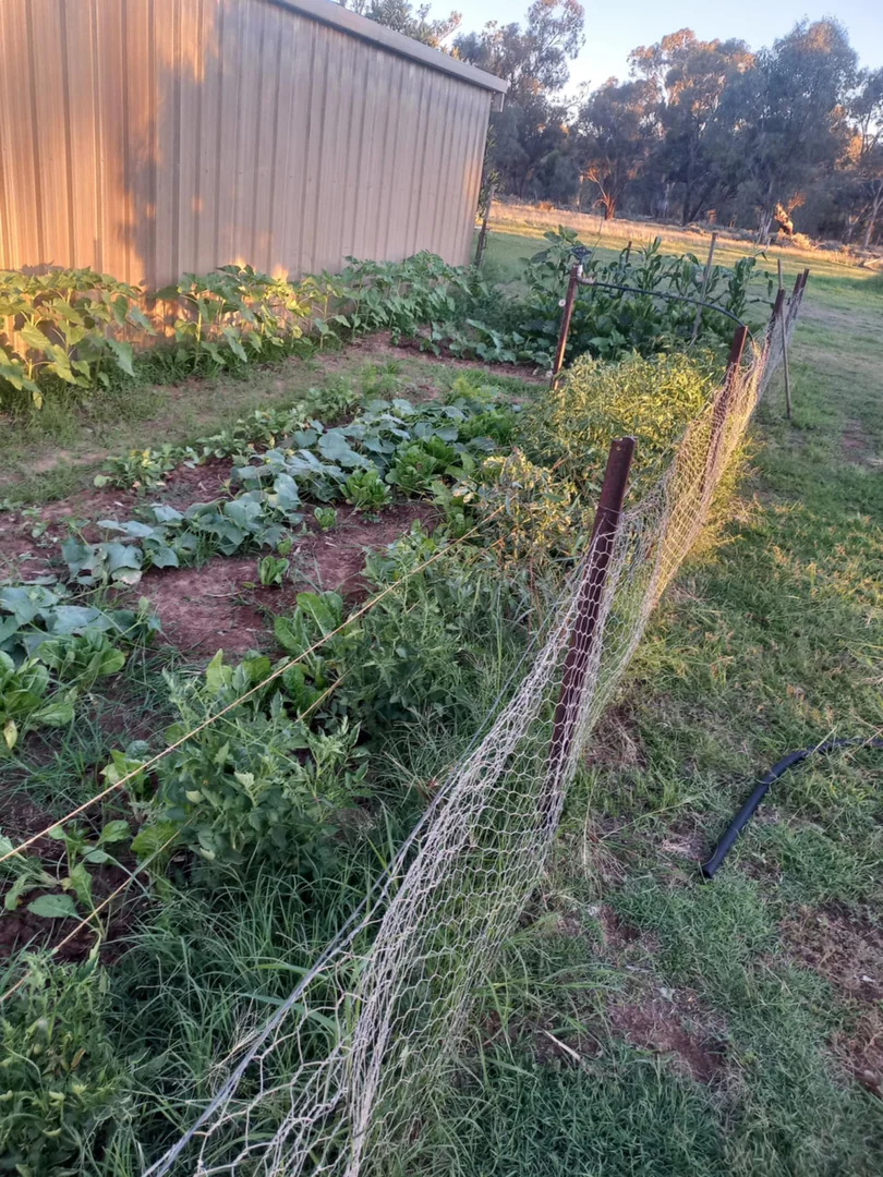 Additional image 16 of 1207 Fraser Road, Niemur NSW 2733