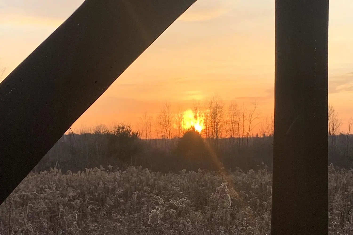 Additional image 8 of 309 Vanderwater Road