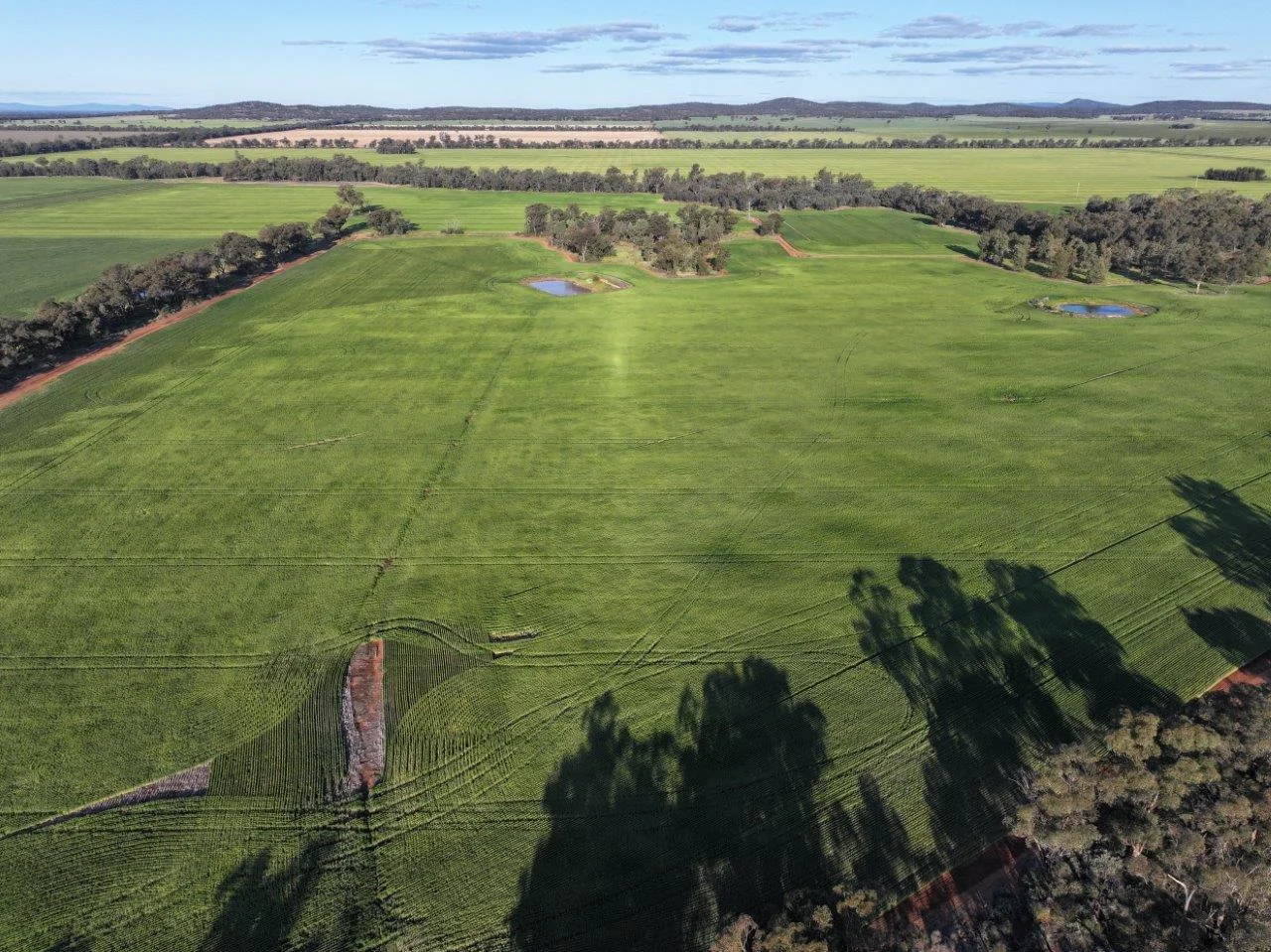 Additional image 9 of Part Westbury Goldfields Way, Barmedman NSW 2668