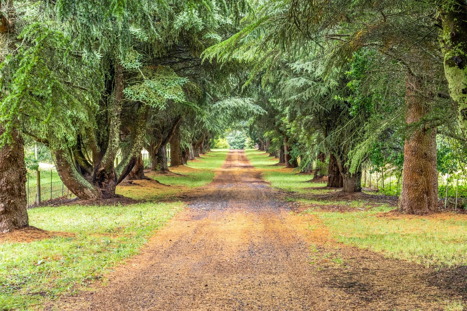 150 Bergs Lane, Trentham East VIC 3458