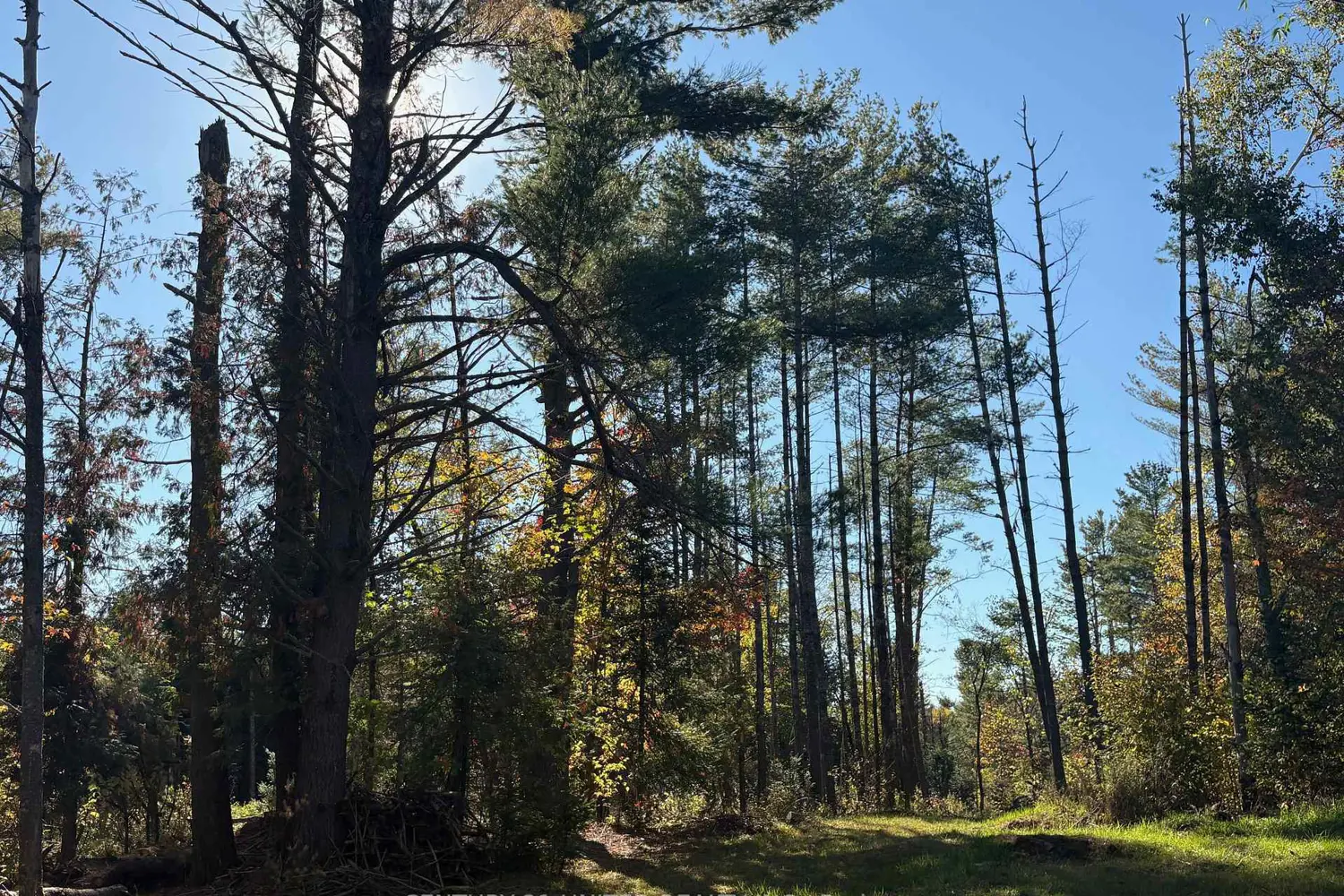 Additional image 6 of N/A Twin Sister Lakes Road
