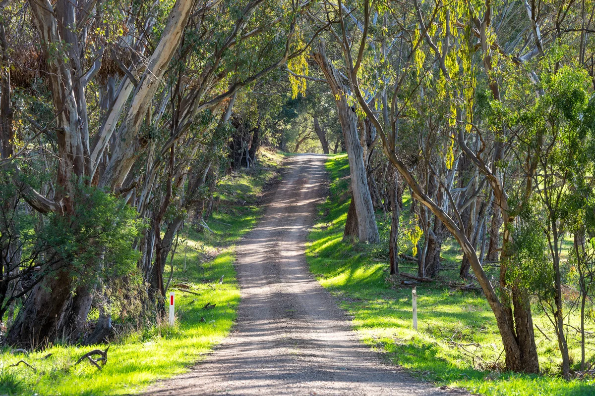 Additional image 5 of 108 Delaneys Lane, Hansonville VIC 3675