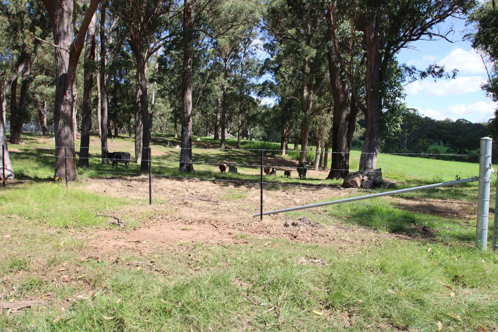 Additional image 11 of 1465 Billirimba Road, Tenterfield NSW 2372