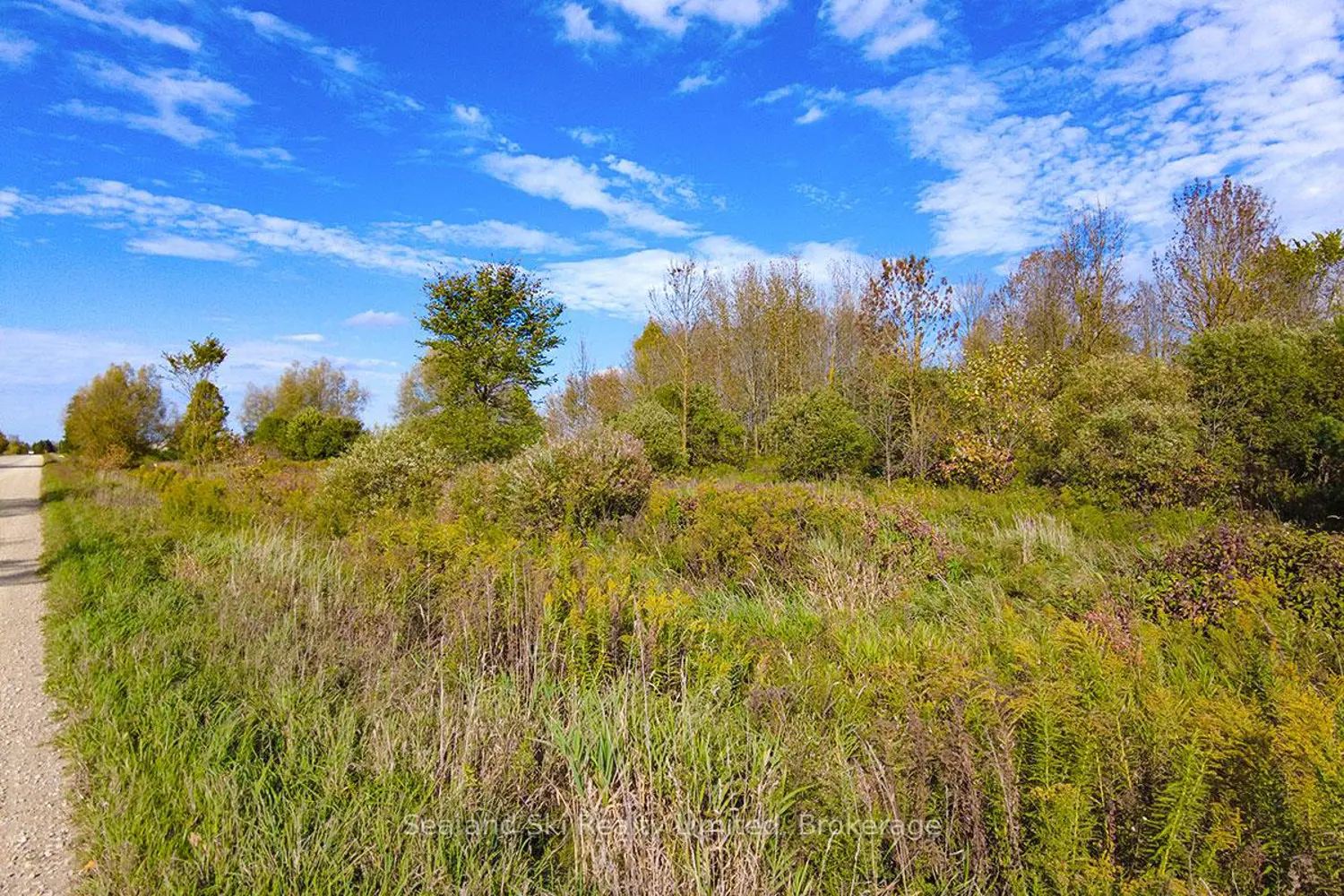 Additional image 16 of 31313 Grey Road 14 Road