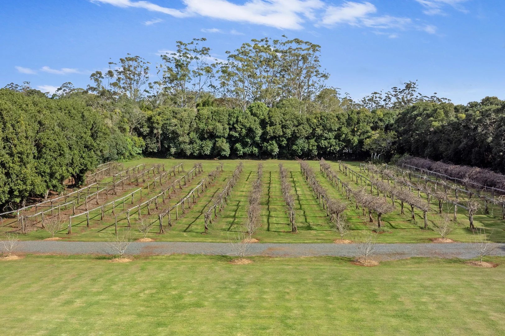 Additional image 3 of 1E Esme Street, Tamborine Mountain QLD 4272