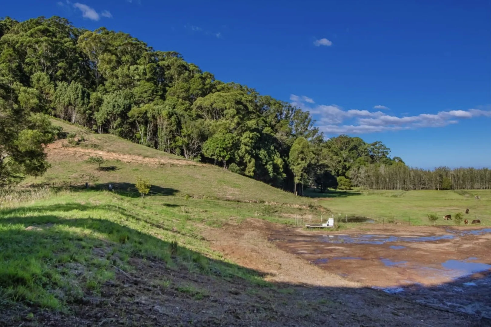 Additional image 8 of Mcauleys Road, Terranora NSW 2486