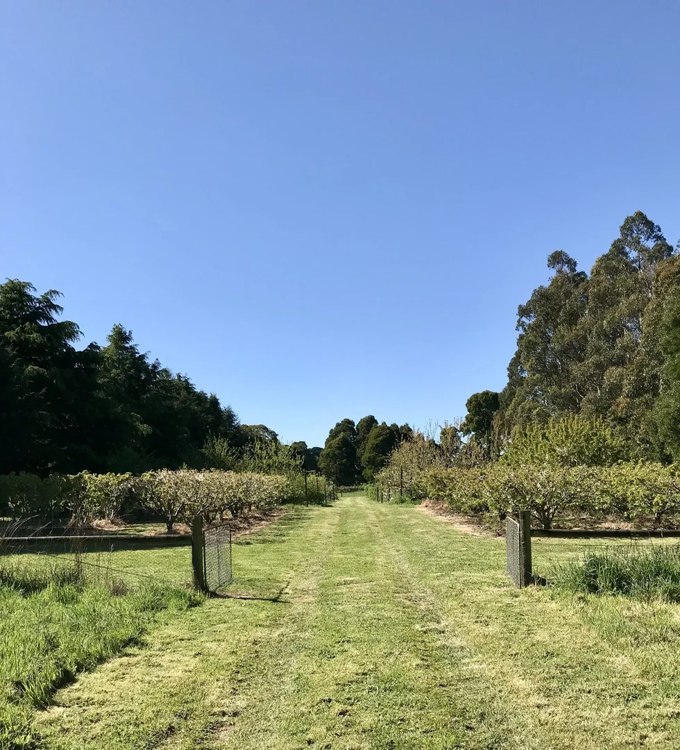 Additional image 32 of 150 Bergs Lane, Trentham East VIC 3458