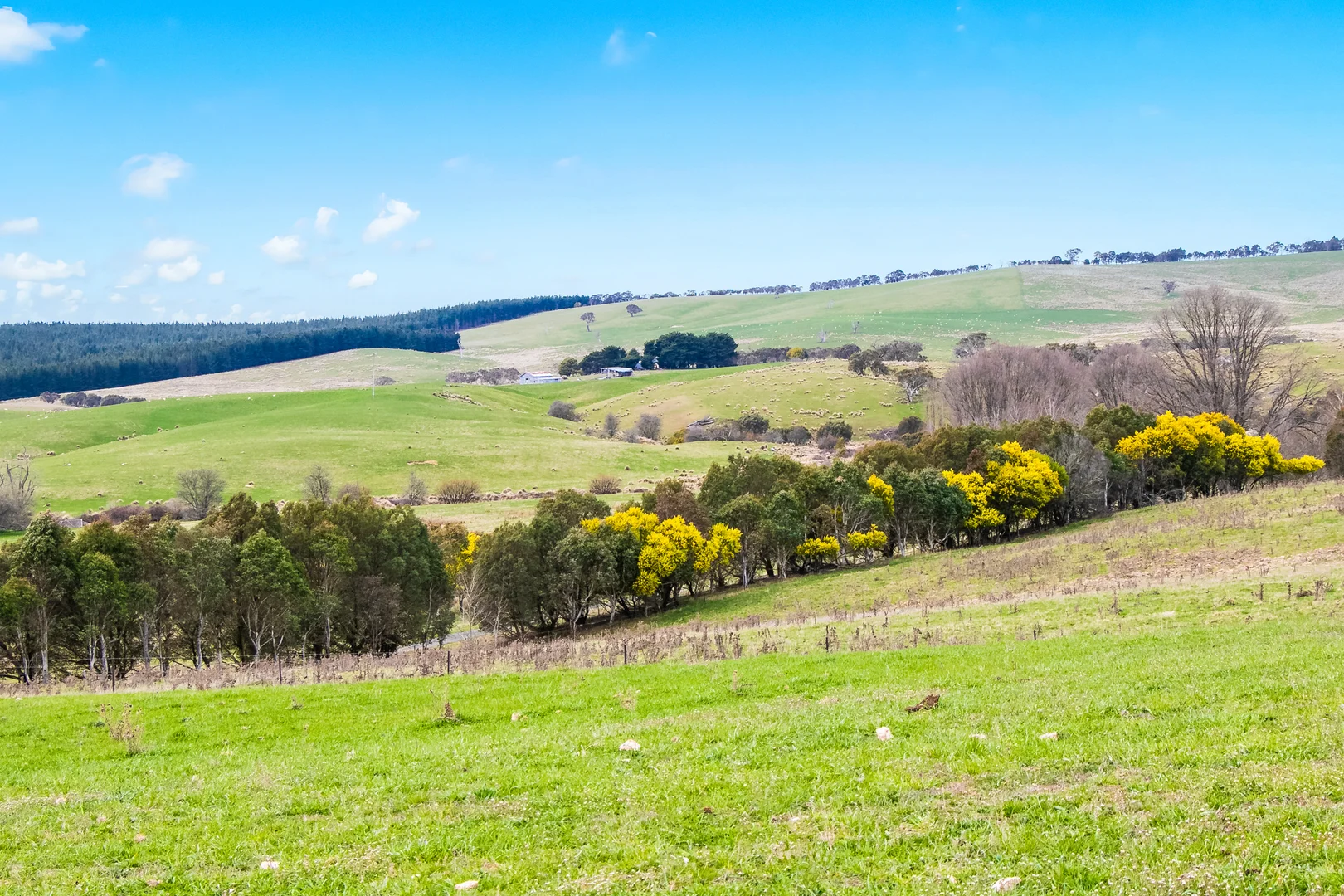 Additional image 26 of 171 Big Flat Road, Bombala NSW 2632