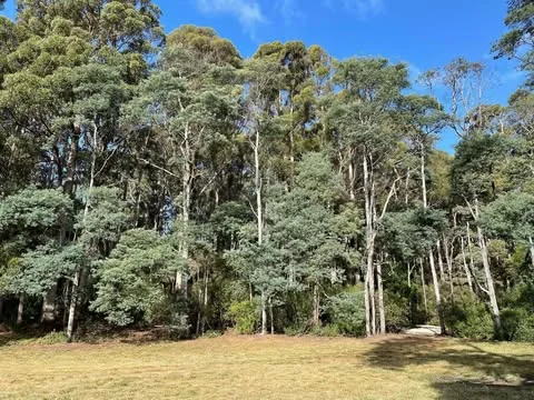 Additional image 4 of - Pages Road, Calder TAS 7325