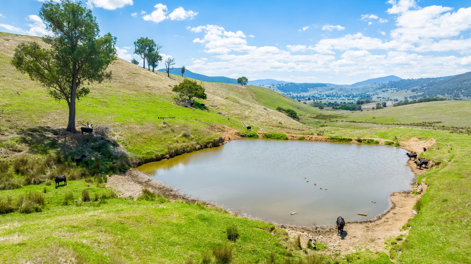 Additional image 13 of "Tom's" Tallys Lane, Tallangatta Valley VIC 3701