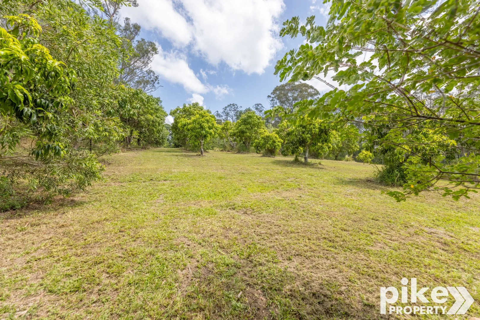 Additional image 42 of 116 W Lindsay Road, Wamuran QLD 4512