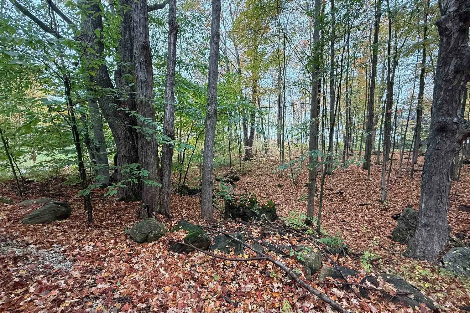 Additional image 18 of Lot 8 Green Acres Road