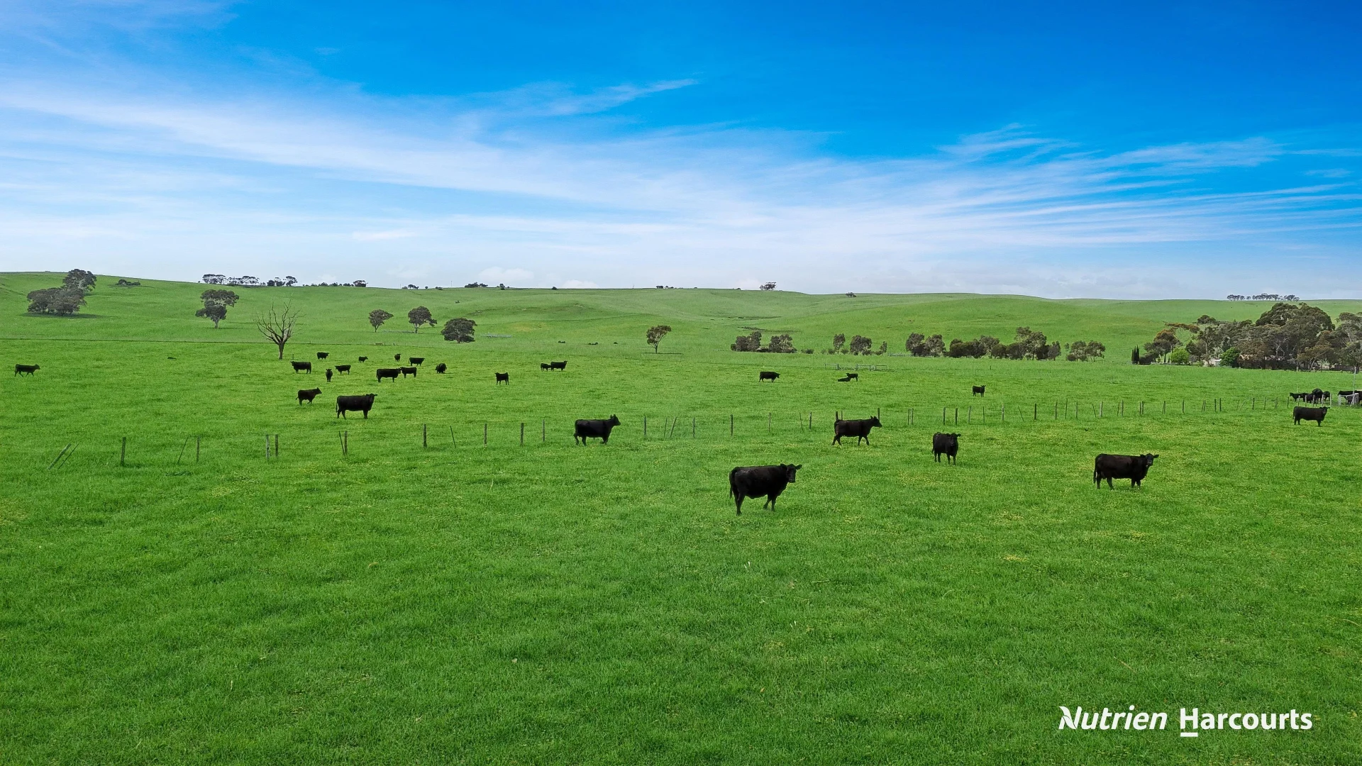 Additional image 18 of 25 Mackwood Lane, Casterton VIC 3311