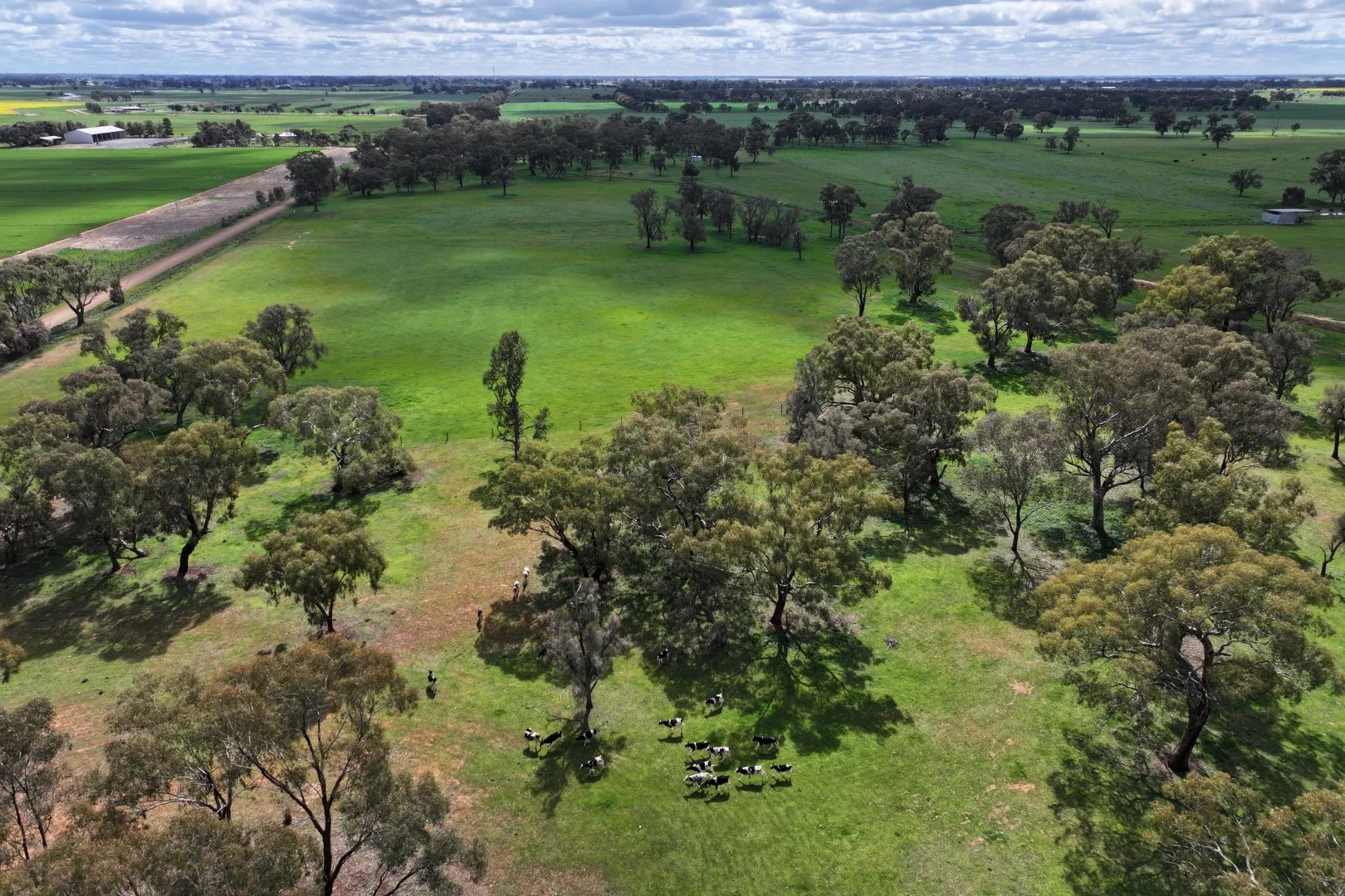 Additional image 8 of 516 O'Donnell Road, Rochester VIC 3561