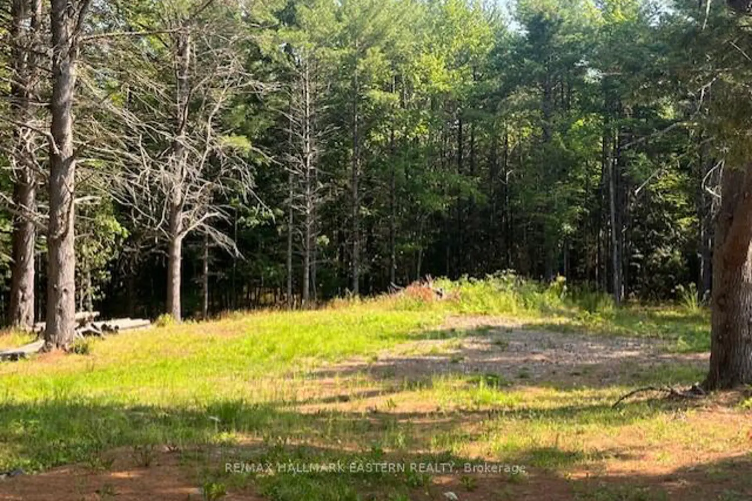 Additional image 10 of 942 Balmer Road