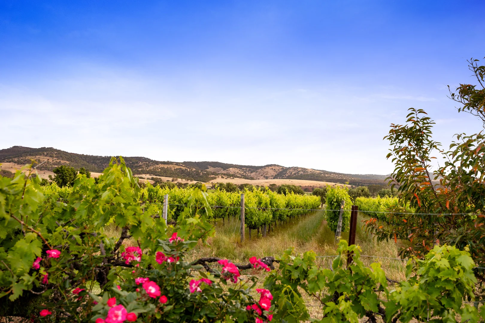 Additional image 28 of 76 Rogers Road, Sellicks Hill SA 5174