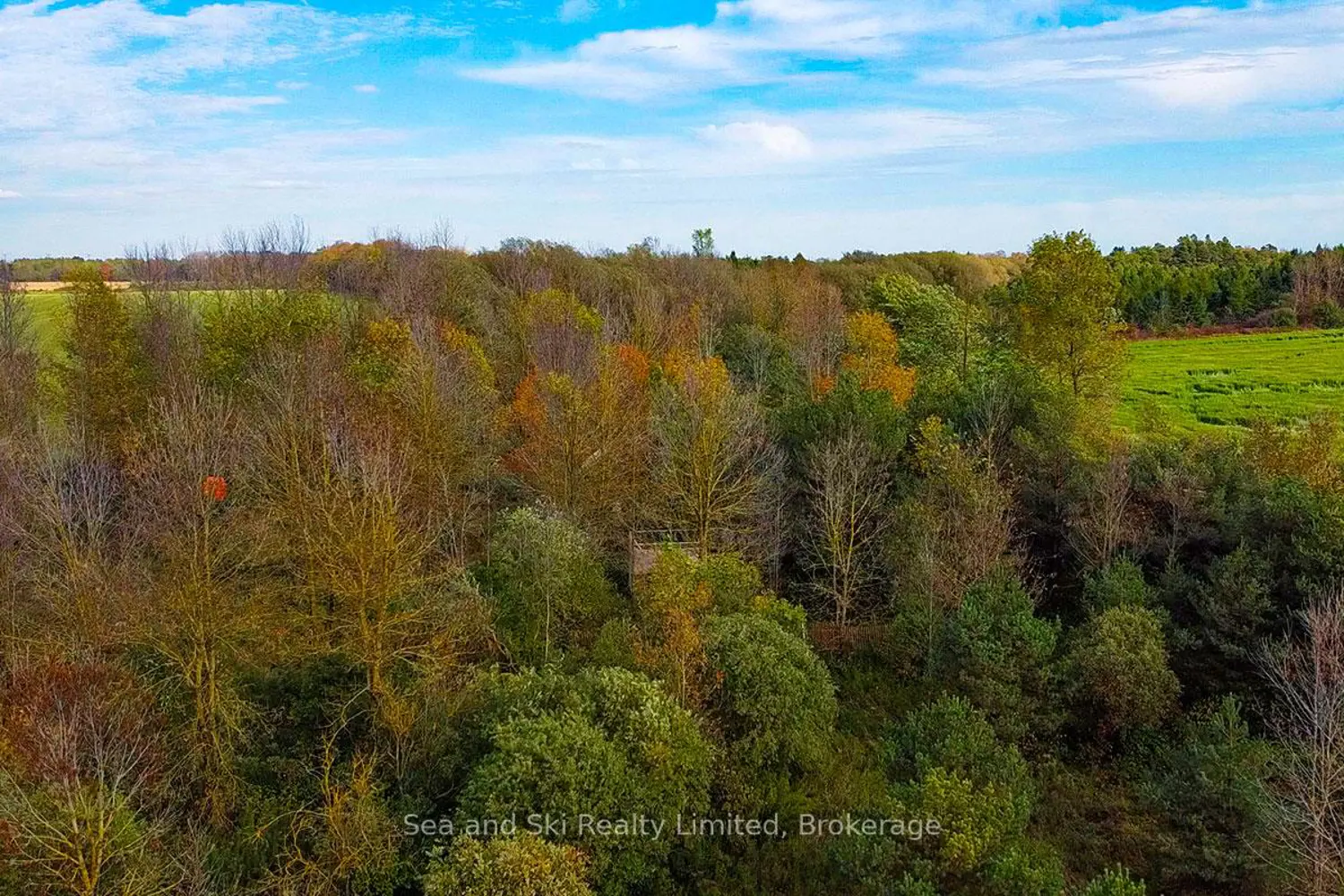 Additional image 6 of 31313 Grey Road 14 Road