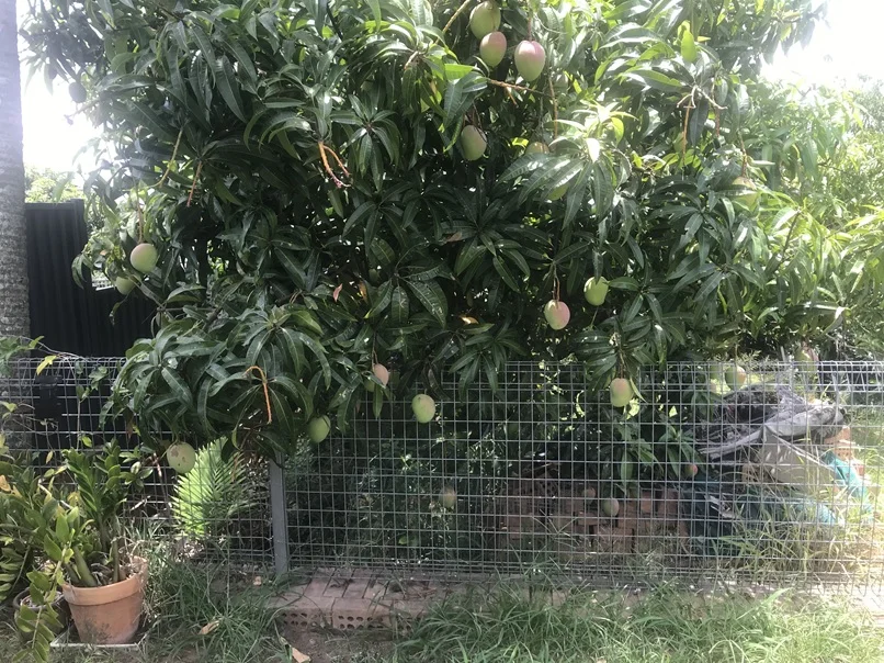 Additional image 26 of 19 Perry Street, Churchill QLD 4305